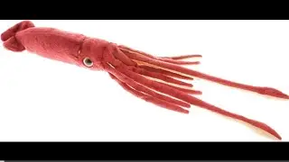 SQUID PLUSHIE 2