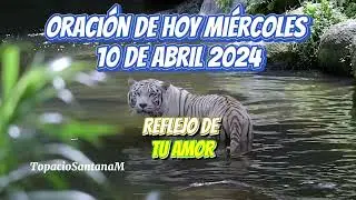 Oración de hoy 10 de abril 2024 #buenosdias #felizdia #diosesbueno