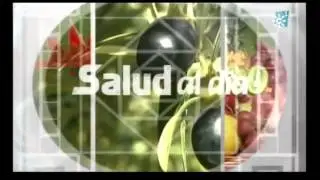 Canal Sur TV (Elementos Corporativos 22-9-12)