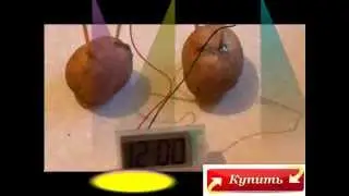 Телемагазин Часы работающие от картошки