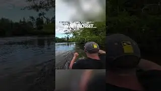 CATFISH ATTACK 🤯🤯🤯