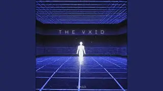 THE VXID