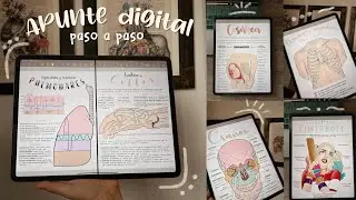 APUNTE DIGITAL PASO A PASO | Studiescah
