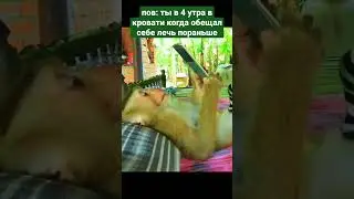 Когда залип в телефоне 