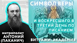 5 член Символа Веры. И воскресшаго в третий день по Писанием | Митрополит Антоний (Паканич)| ТЕОVЛОГ