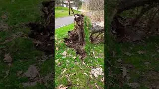 Pittsburgh Wind Blast Destruction - March 25, 2023
