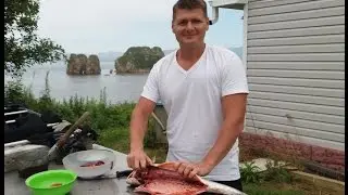 Камбала