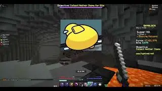 Sus Hypixel Skyblock :I