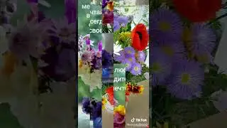 Матуркай