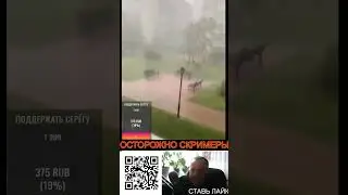 УРАГАН #shorts