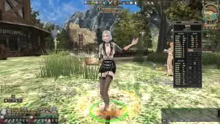 Granado Espada New NPC Amy All Skill Motion