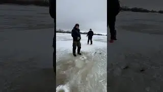 Мудрость от стетхема 