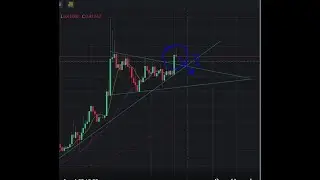 Polygon Matic Network Price Update - Bearish or Bullish?