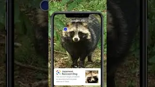 Search what you see with Google Lens