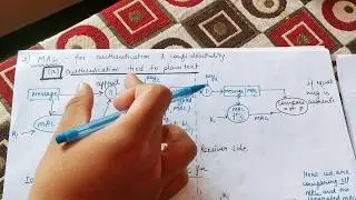 MAC in Cryptography ||  Message Authentication Code in Cryptography and network security