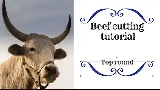 meat cutting turorial