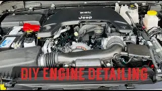 How to Clean your Jeep Engine | DIY Detailing | Jeep Gladiator