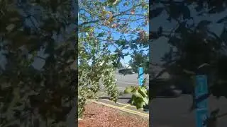 Hurricane Idalia hits NC