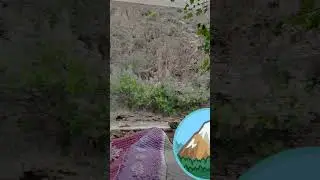 у вас как проходит август?