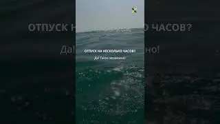 Отпуск на несколько часов