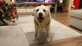 Режим 