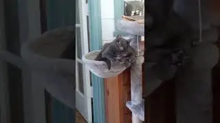 Bath Time