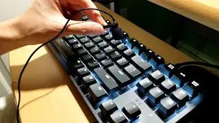 Razer BlackWidow Lite TKL - Orange Switches - Sound/Typing/Gaming Test. Orange Switches with O-Rings