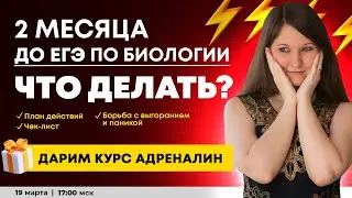 2 МЕСЯЦА ДО ЕГЭ ПО БИОЛОГИИ. ПЛАН ПОДГОТОВКИ. АПРЕЛЬ-МАЙ