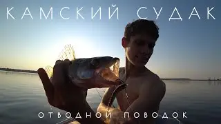 ЧЕРНЫЙ ПОРОЛОН СДЕЛАЛ РЫБАЛКУ / ЛОВЛЯ СУДАКА НА ОТВОДНОЙ ПОВОДОК В ИЮЛЕ / ЧАЙКОВСКИЙ СУДАК