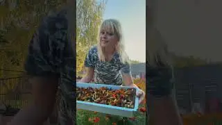 она вообще немного странная …