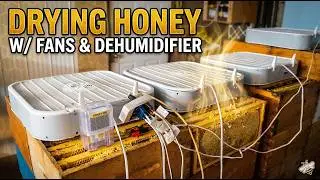 Drying honey with a dehumidifier and box fans - That Bee Man