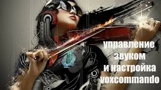 voxcommando. управление звуком, аудиопотоком, и настройка функций вокс