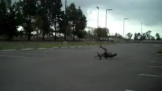 Fail - Mario Alberto Saldana II