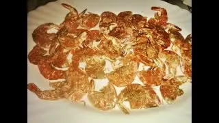How To Make Dried Crayfish using Dehydrator | Vyroko
