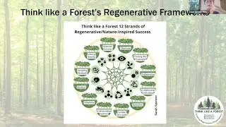 Learning from Living Systems webinar