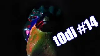 tOdi #14: "Hammer"