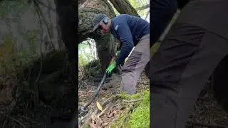 СТАРЫЙ ПРУД ВЫСОХ! НАХОДКА НА ДНЕ ВОДОЕМА! METAL DETECTING