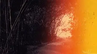Yandaa - Soon
