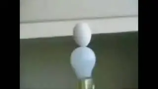 Фокус с яйцом)