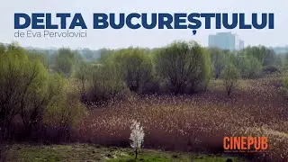 THE DELTA OF BUCHAREST (2020) - by Eva Pervolovici - online documentary on CINEPUB