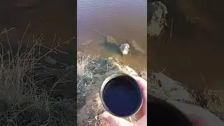 рыбалка 2