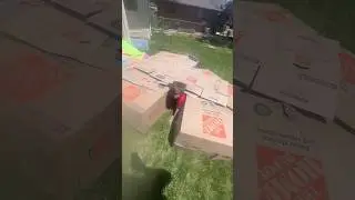 Box Fort