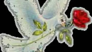 Siro Mix 4