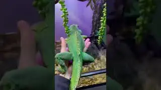 Мама сказала, что она умерла!(((