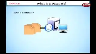 Learn Oracle | What is a Database