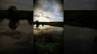 #shortvideo #fishing #спининг #рыбалка #щука #fish #природа