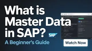 || Master Data in SAP |Overview| T-Code = BP, VK11, VV11, VV21, VV31, etc.| | SAP SD Training ||