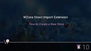 WZone Direct Import Chrome Extension - How to build a New Store