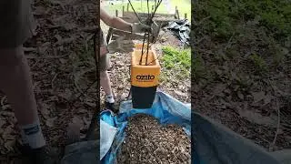 Satisfying crushing of branches to make mulch