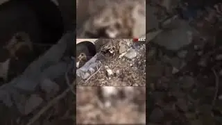 video mengerikan yang terekam oleh orang Jepang #japan #scary #scared
